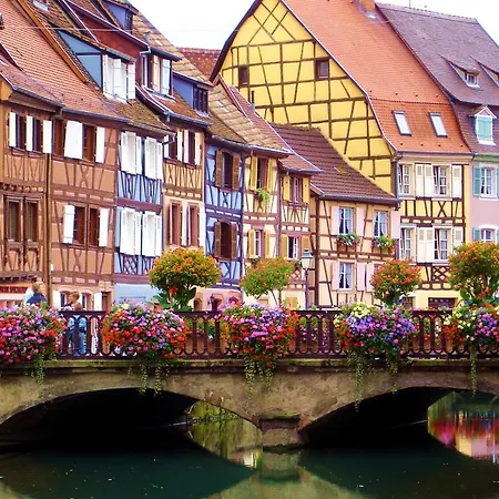 Jasmin Herrlisheim-près-Colmar