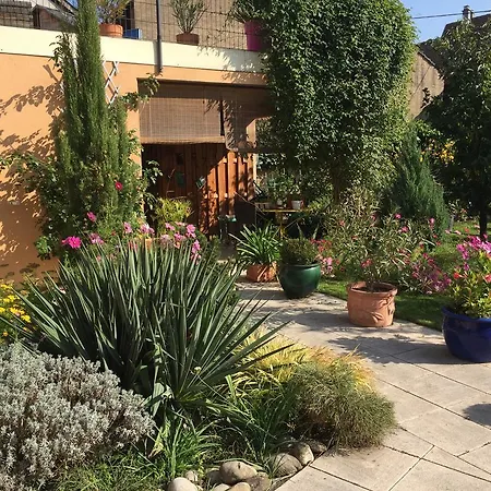 Jasmin * Herrlisheim-près-Colmar