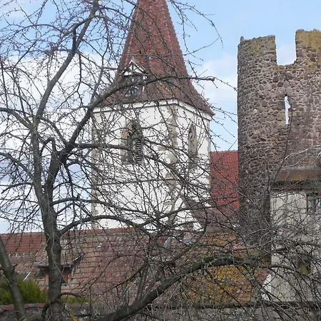 Jasmin Herrlisheim-près-Colmar