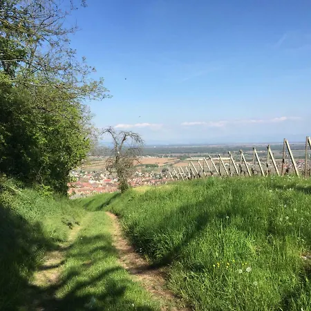 Jasmin 아파트 Herrlisheim-près-Colmar